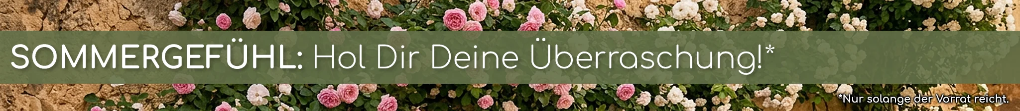 Banner_Desktop_Sommergefuehl_CTA_KW24_Fr