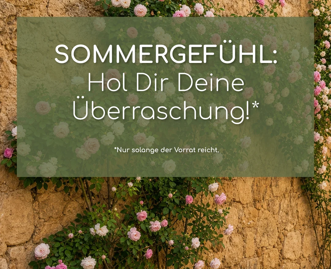 Banner_Mobil2_Sommergefuehl_CTA_KW24_Fr