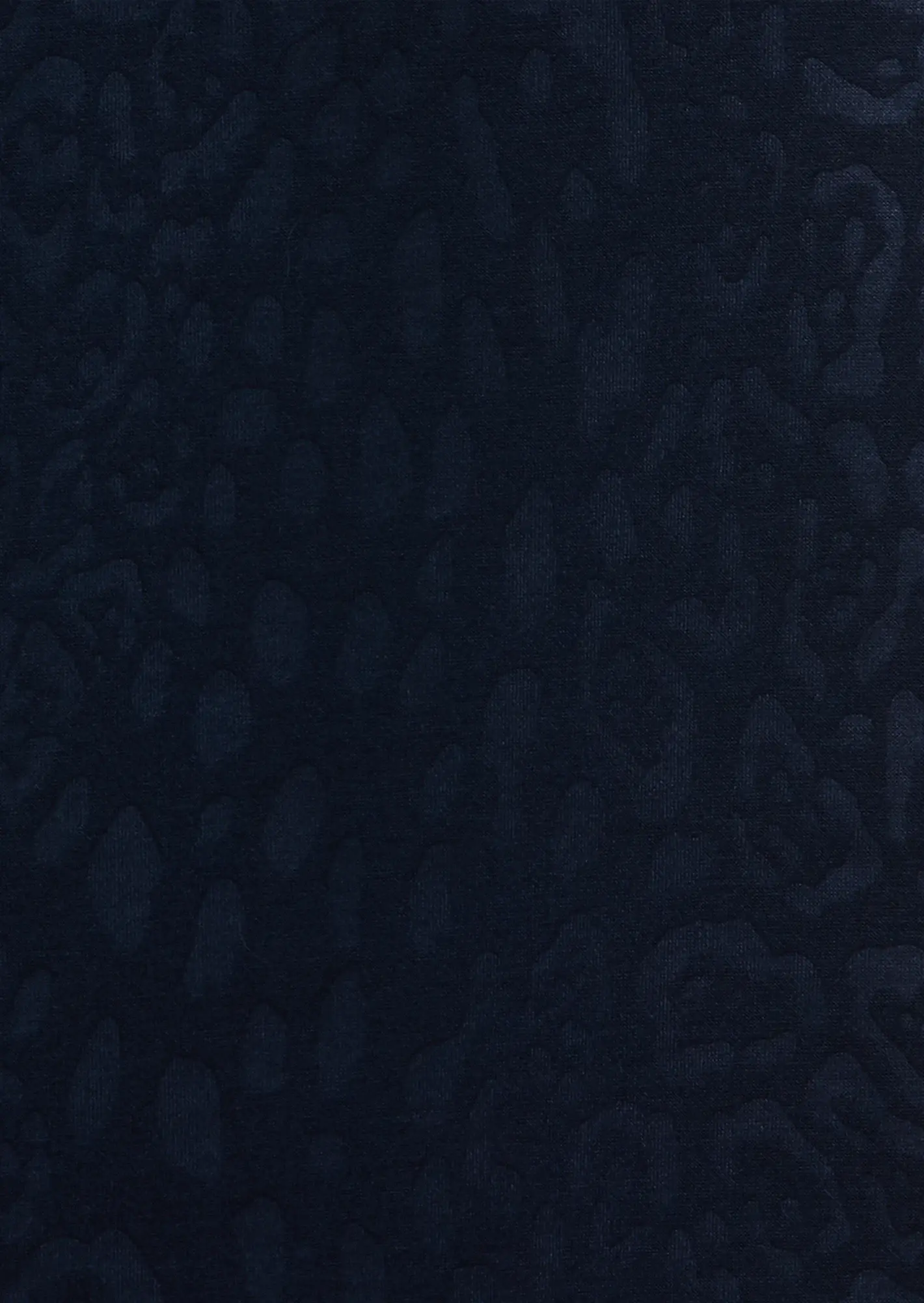 Sweatjacke mit Leoprägung, navy