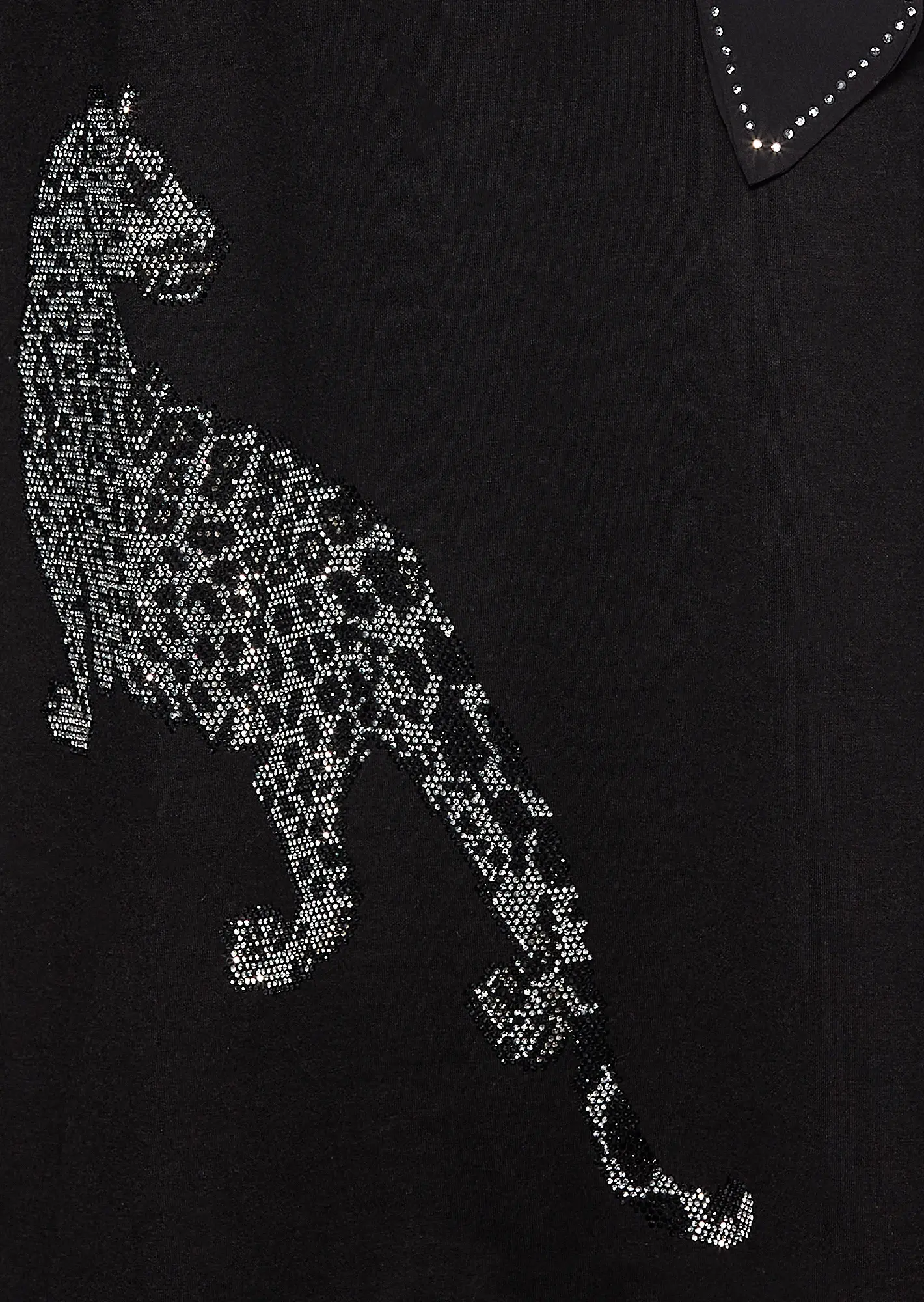 Kleid mit Glitzerleo, schwarz